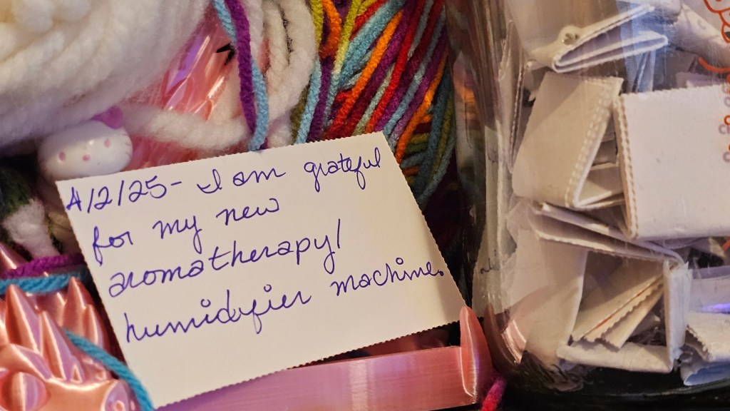 My forced gratitude for April 2nd, 2025.