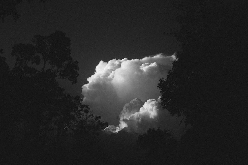 And then the gratitude did not come&nbsp;freely…